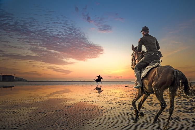 退潮时海滩上能骑马是奉贤滨海的特色.
