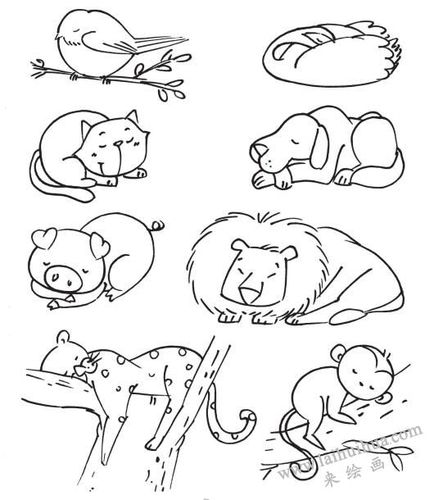 100种动物睡觉的姿势简笔画