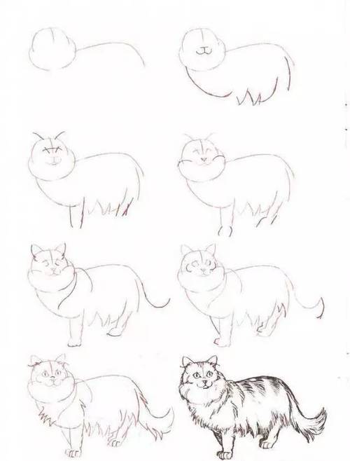 行走的猫简笔画