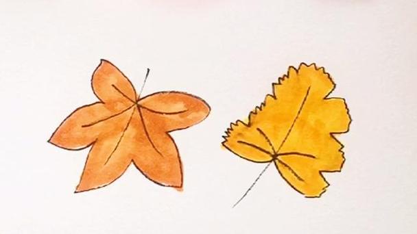 树叶简笔画图片,树叶简笔画大全树叶叶子秋天卡通简约彩色装饰图案小