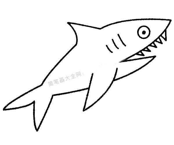 鲨鱼的简笔画可爱