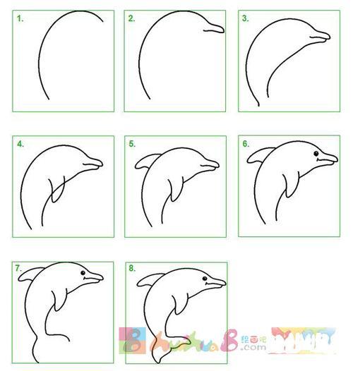 中华白海豚怎么画简笔画
