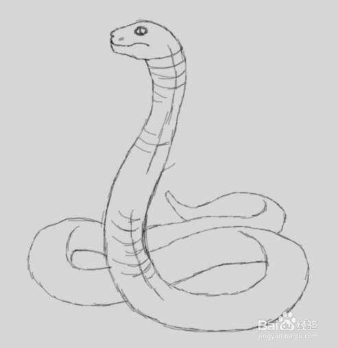 蛇的简笔画教程