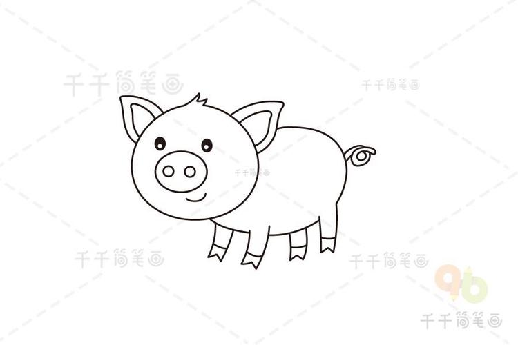 猪的简笔画 简单漂亮又可爱