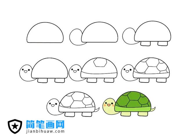 小动物简笔画乌龟