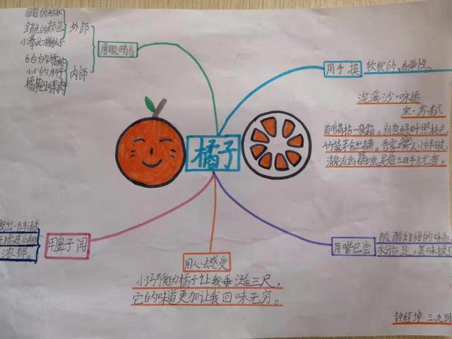 正是橙黄橘绿时——阆中市凌家坝小学校橘子微课程分享