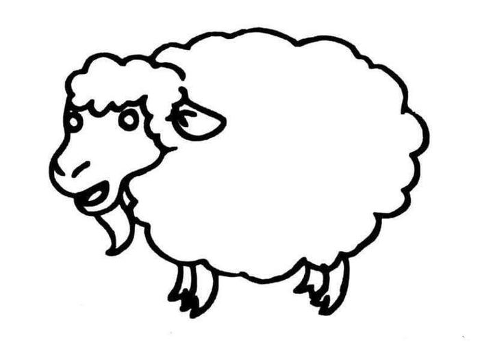 儿童简笔画动物羊