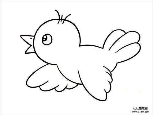 小鸟简笔画2会飞的小鸟简笔画如何画才好看空中的小鸟简笔画教你一笔