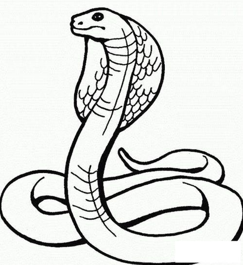 蛇简笔画简单又可怕