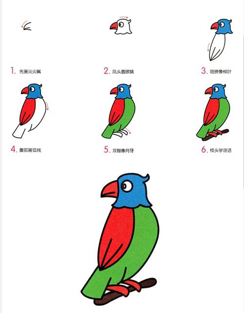 各种鸟画法简笔画