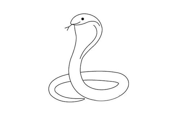 动物简笔画蛇幼儿园
