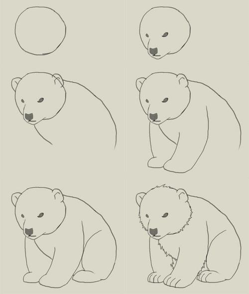 熊咋画简笔画