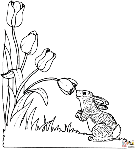 郁金香和兔子花朵简笔画-简笔画大全