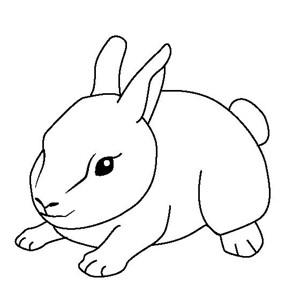 世界上最简单又最好看的小兔子简笔画