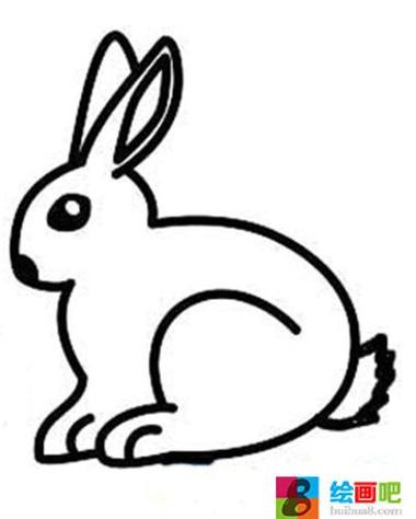 儿童简笔画各种动物小白兔
