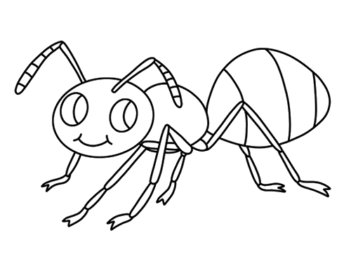 蚂蚁的身体结构图简笔画