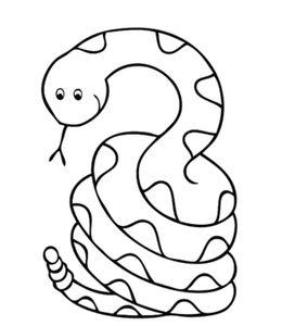 5张花蛇蟒蛇卡通儿童简笔画!蛇的涂色图片