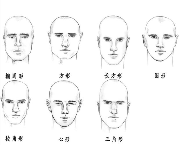 脸型分类简笔画