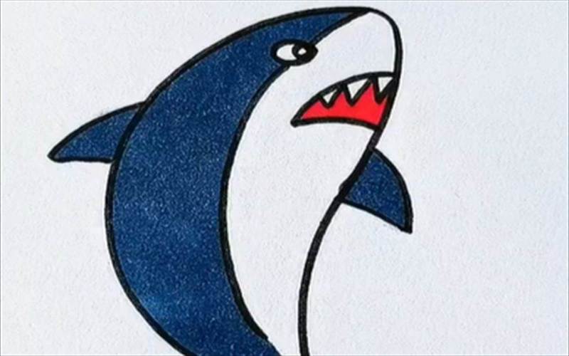 可爱的鲨鱼宝宝怎么画简笔画