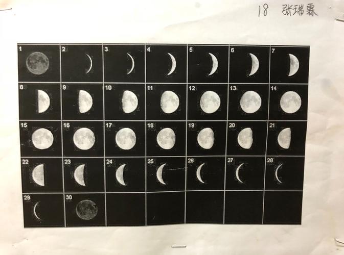 有的详细画出了月亮一个月内变化的过程.
