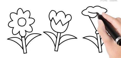 彩色漂亮花朵简笔画怎么画简单又好看花朵简笔画教学带步骤