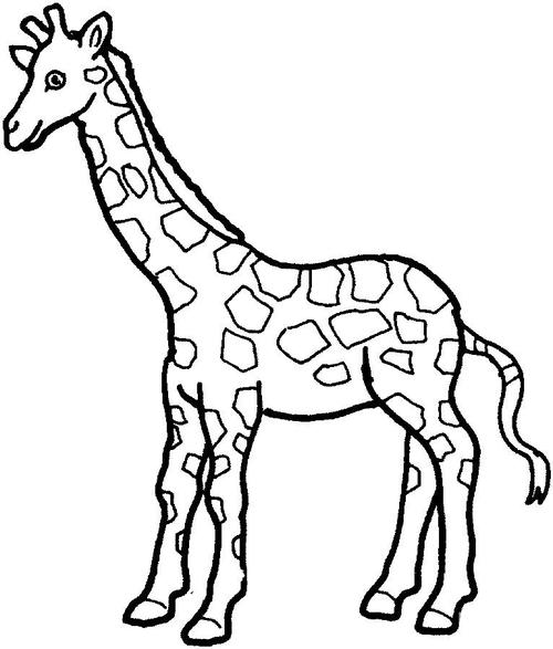 幼儿园画长颈鹿简笔画