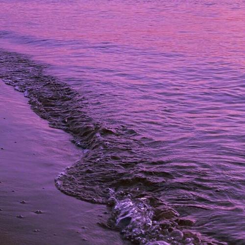 紫色海
