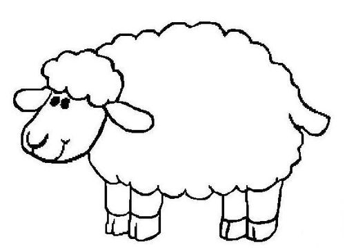 超级简单的小羊简笔画