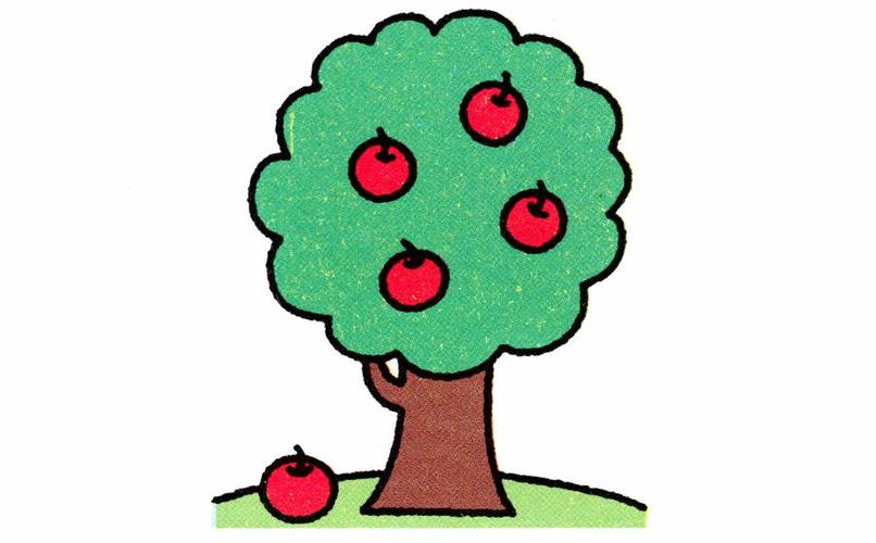 苹果树简笔画图片
