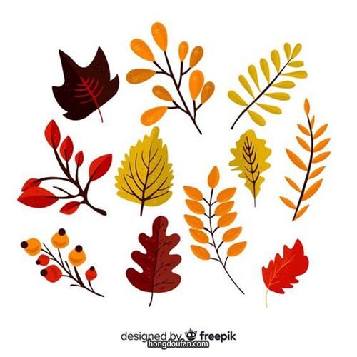 秋天的树叶简笔画图片大全彩色