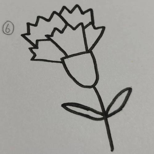 教师节的花怎么画简笔画图片