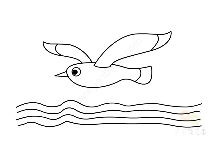 大海海鸥的图片简笔画