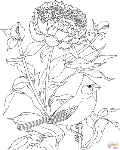 鸟和花的简笔画图片大全