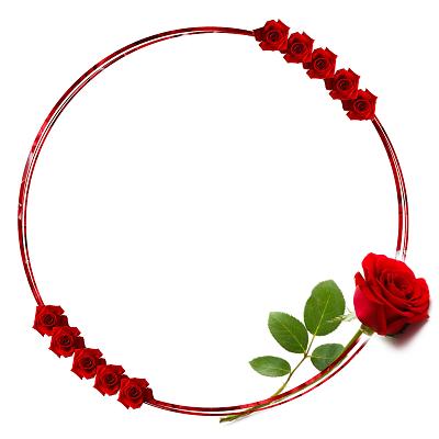 红色玫瑰浪漫七夕边框七夕玫瑰png素材