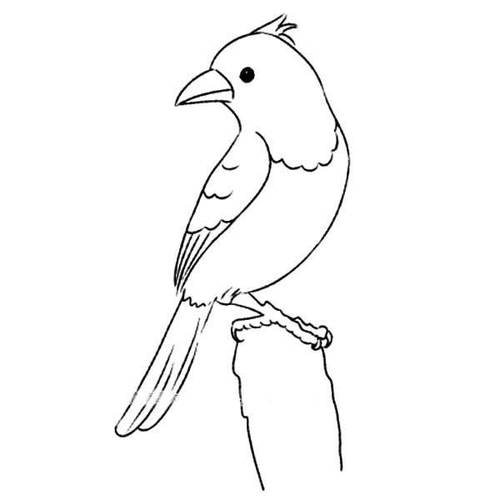 儿童黄鹂鸟简笔画这是一组黄鹂简笔画的内容,希望能满足您的需求,查找