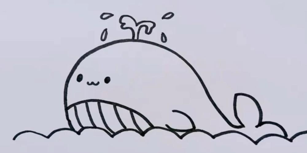 小鲸鱼简笔画可爱图片