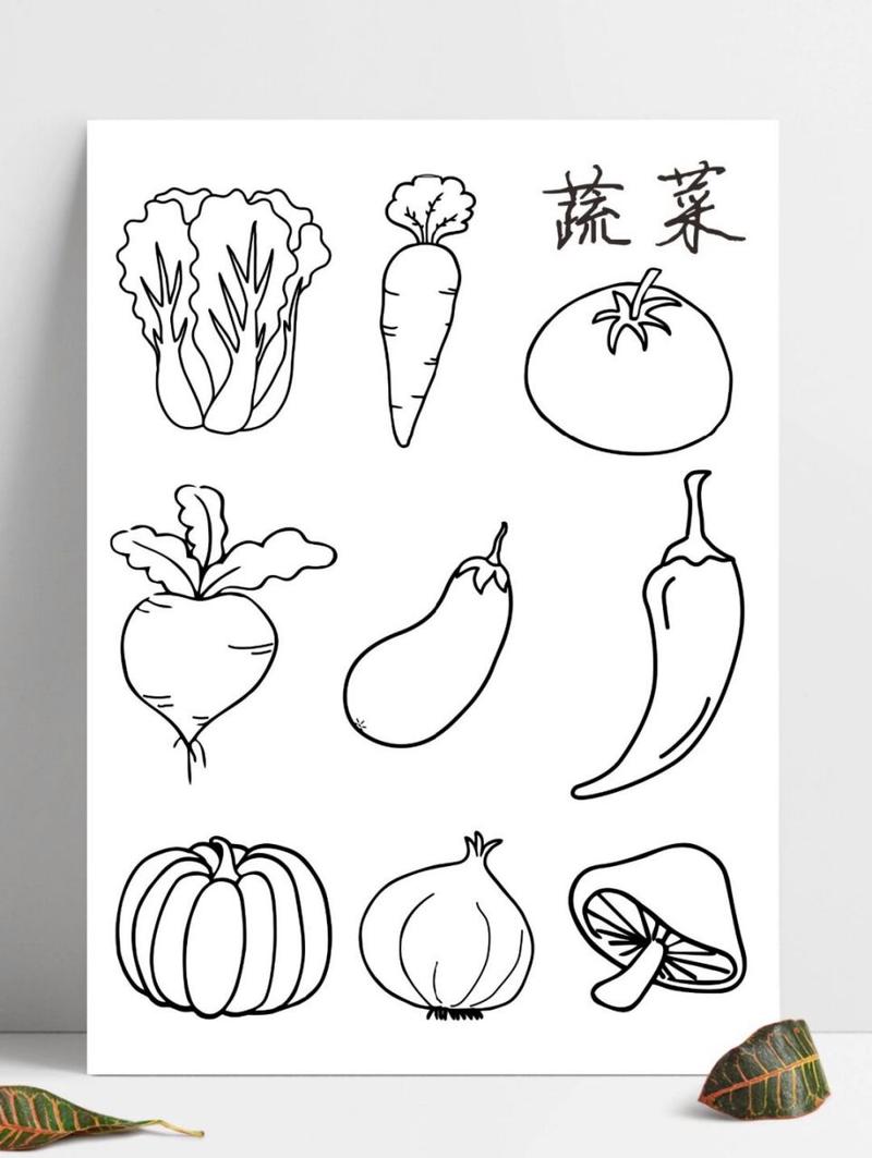 黑白ins插画手帐素材,蔬菜简笔画黑白打印涂色,给宝宝认识蔬菜#简笔画