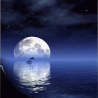 海上生明月微信头像的寓意