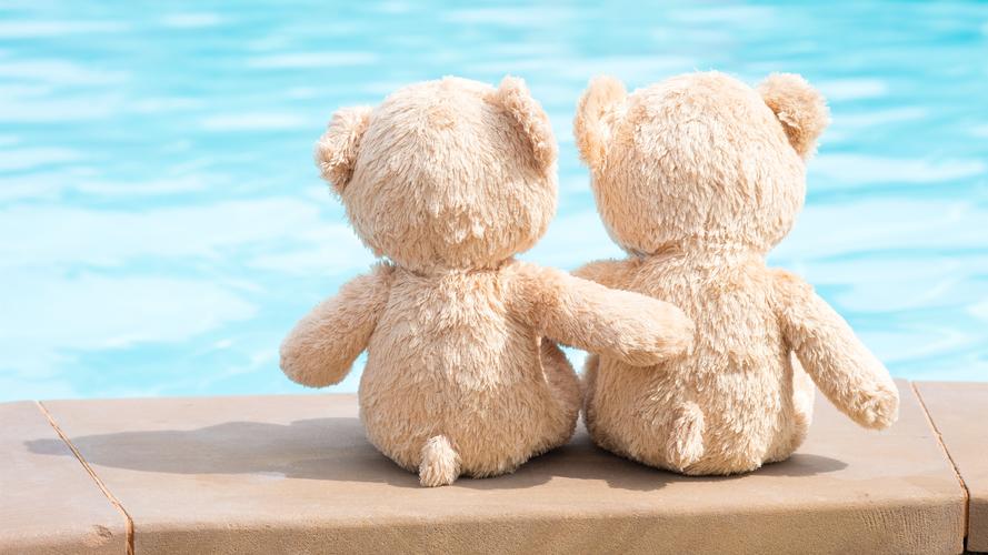 壁纸 两只泰迪熊,玩具,朋友