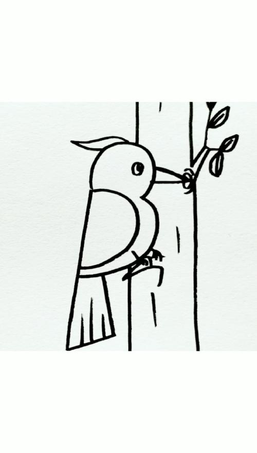 啄木鸟和虫子的简笔画