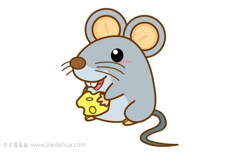 老鼠简笔画怎么画老鼠简笔画彩色老鼠简笔画图片大全创意师若枫