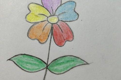 五色花的形态简笔画