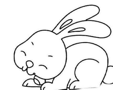 1-3岁儿童兔子简笔画