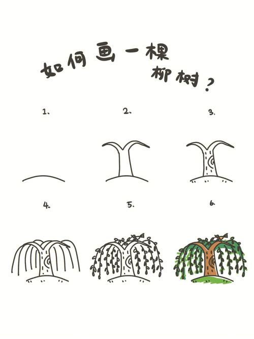 手绘教程如何画一棵柳树