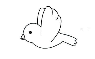 儿童画画小鸟简笔画小鸟简笔画图片大全可爱小鸟动物简笔画动物简笔画