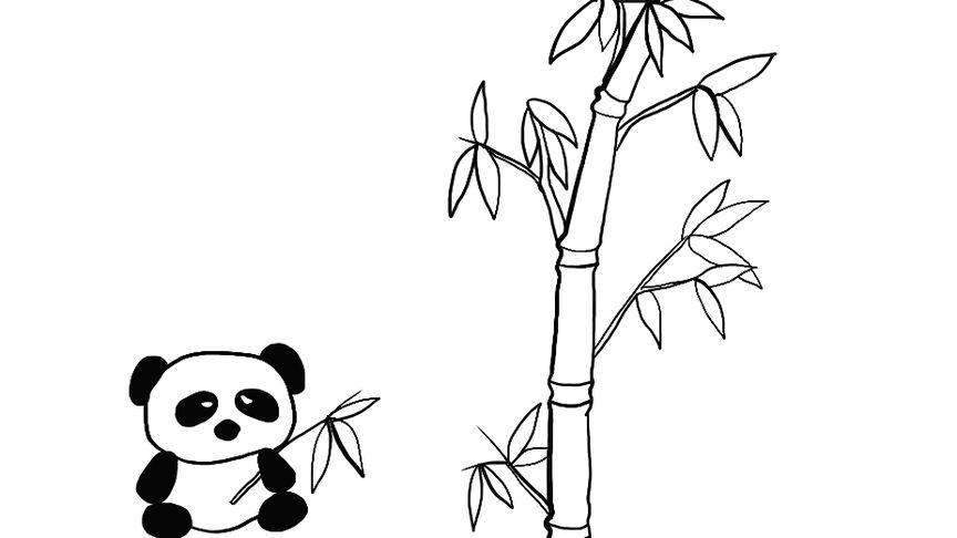 颜料熊猫竹子简笔画
