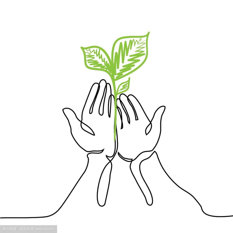 手握一株活的绿色植物幼苗