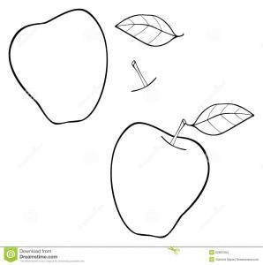 详尽阐述与一片叶子的修建苹果和带树叶的李子简笔画教你如何画苹果