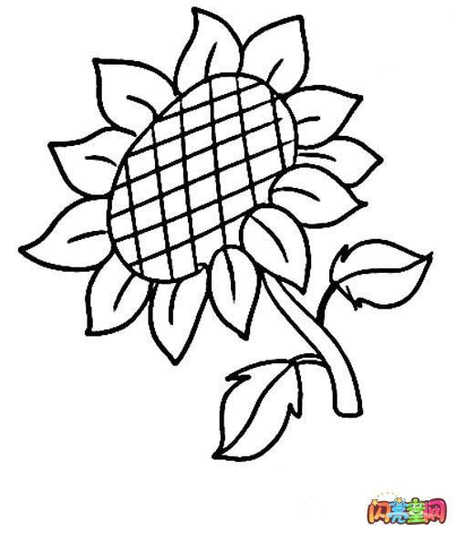 如何画花朵好看又简单 简笔画