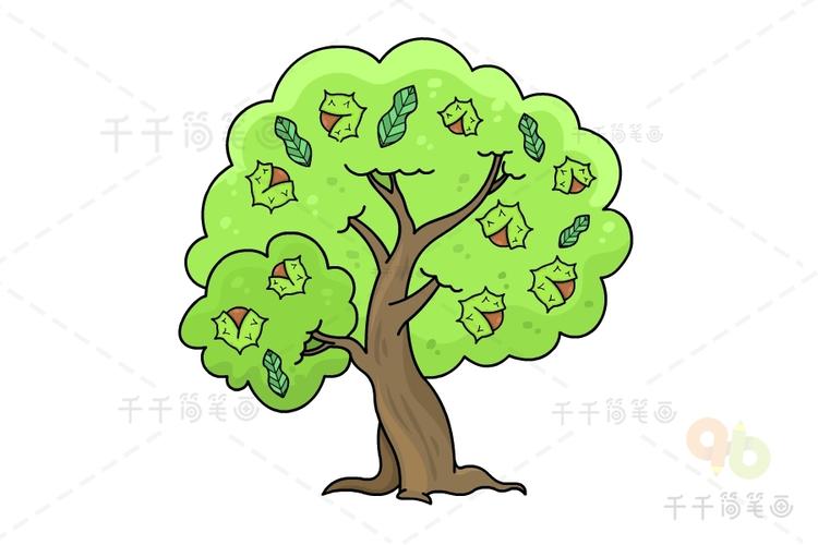 栗子树简笔画